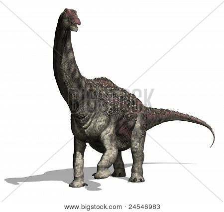 Diamantinasaurus