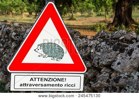Hedgehog Crossing Warning Sign
Italian Text Traduction: Warning! Hedgehog Crossing