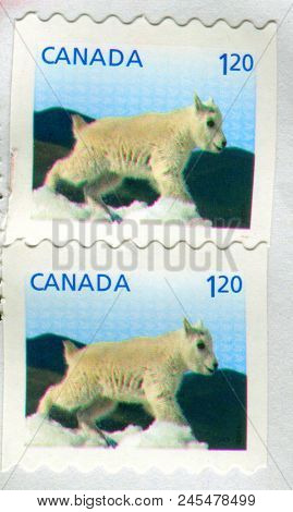 GOMEL, BELARUS, 13 DECEMBER 2017, Stamp printed in Canada shows image of the Lamb, circa 2017. 