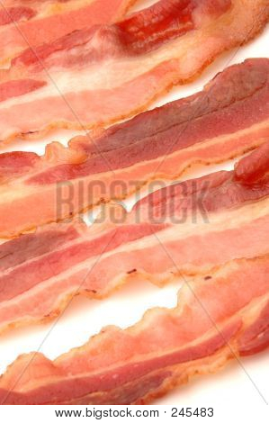 Bacon 520