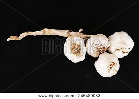 Close-up Of Health And Garlic,
Kastamonu Garlic Turkey Close-up,