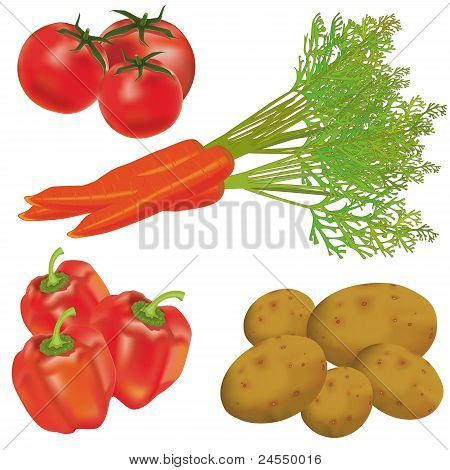 Conjunto de legumes realistas
