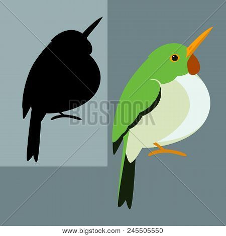 Cuban Tody Bird Vector Illustration Flat Style Black Silhouette Set