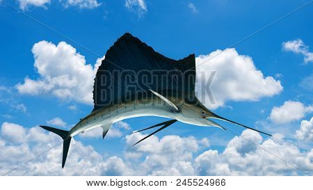 Marlin - Swordfish,sailfish Saltwater Fish (istiophorus) Isolated On Sky Background
