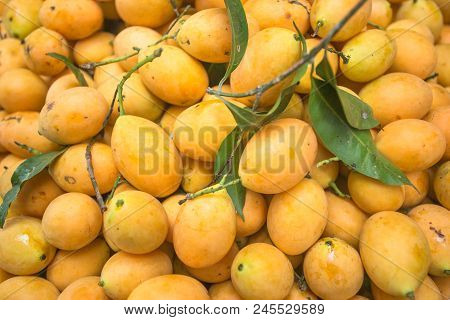 Fresh Yellow Mango Sells In The Market