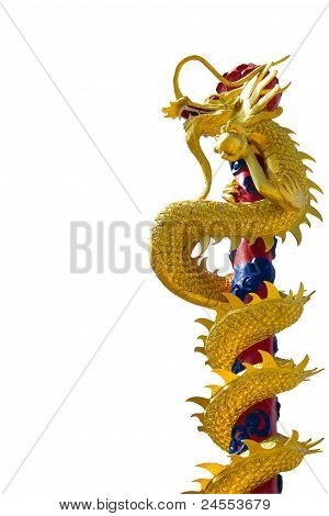 Golden Dragon Isolated On White Background