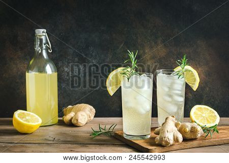 Ginger Ale Or Kombucha