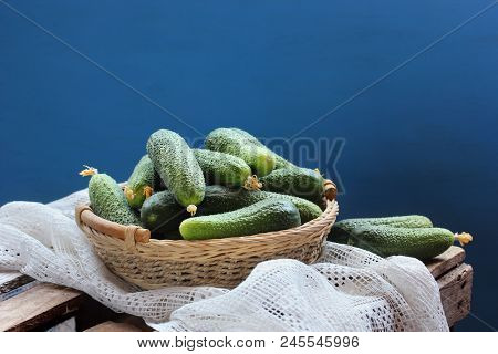 Basket Of Fresh Cucumbers On A Blue Background. Rural Still Life. Food, Crop, Vegetable Garden.