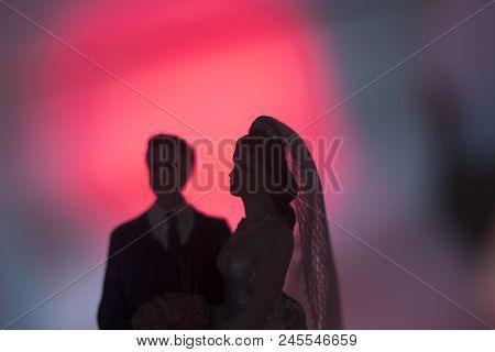 Wedding Couple Marriage Dolls