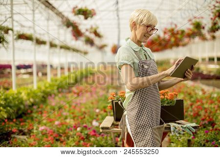 Senior Woman Using Tablet In Flower Garden