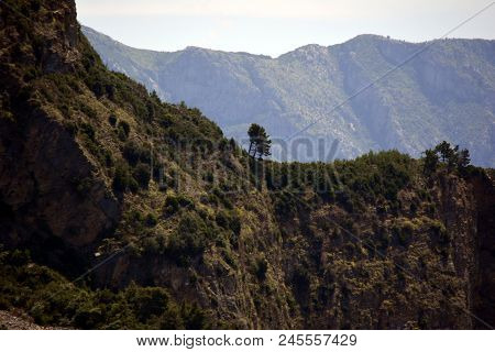 Picturesque Serbian Mountains With Trees Landscape Of Montenegro.