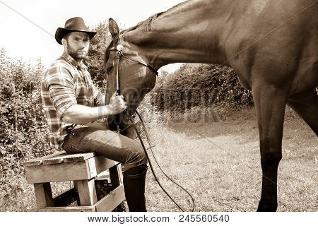 Good Looking, Hunky Cowboy Sits With  His Stud, Stallion, Horse With Boots, Chequered Shirt And Hat