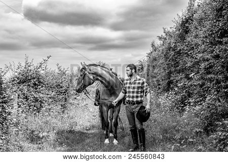 Good Looking, Hunky Cowboy With Boots, Chequered Shirt And Hat, Walks Next To His Horse