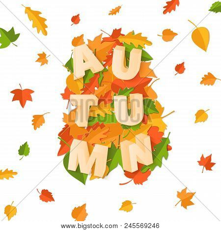 Word Autumn Composition With Green Yellow Red Leaves On White Background In Paper Cut Style. Fall Le