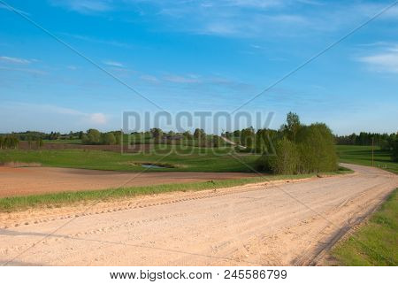 Clear Spring Sky, Farmland Field With Birches