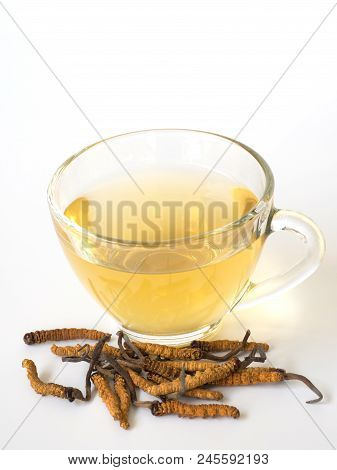 Select Focus Of Mushroom Cordyceps (chong Cao) This A Herbs. With A Glass Of Water, Add Water From T