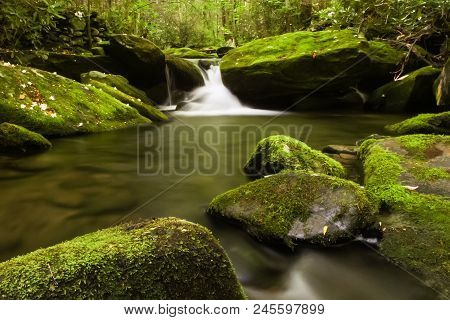 A Creek Flowing Over Mossy Rocks In A Forest.  Elkmont, Great Smoky Mountains National Park, Usa.