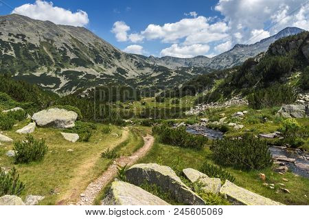 Landscape With Banderitsa River Valley, Pirin Mountain, Bulgaria