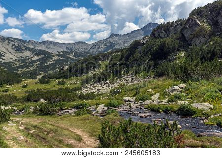 Landscape With Banderitsa River Valley, Pirin Mountain, Bulgaria