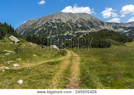 Landscape With Banderitsa River Valley, Pirin Mountain, Bulgaria