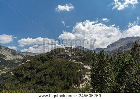 Landscape With Banderitsa River Valley, Pirin Mountain, Bulgaria
