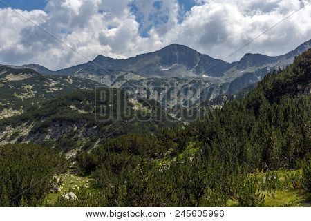 Landscape With Banderitsa River Valley, Pirin Mountain, Bulgaria