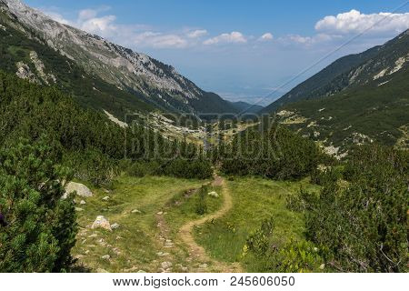 Landscape With Banderitsa River Valley, Pirin Mountain, Bulgaria