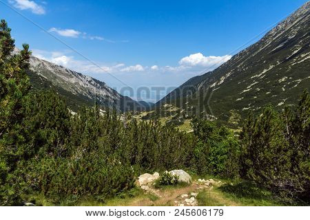 Landscape With Banderitsa River Valley, Pirin Mountain, Bulgaria