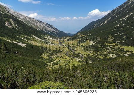Landscape With Banderitsa River Valley, Pirin Mountain, Bulgaria
