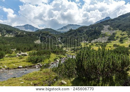 Landscape With Banderitsa River Valley, Pirin Mountain, Bulgaria