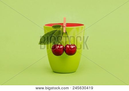 Fresh Cherries With Green Glass On Green Background