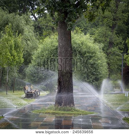 Automatic Sprinkler System Watering The Lawn On A Background Of Green Grass, Close-up