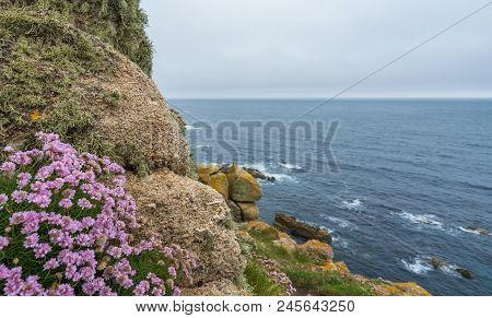 Landscape Of The Lands End - The Most Westerly Point Of England Which Is A Popular Tourist Attractio