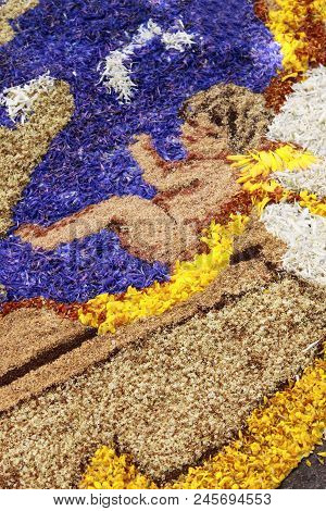 Spello, Italy - June 7: Floral Carpet On June 7, 2015 In Spello, Italy. This Event Takes Place Every