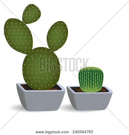 3d Set Of Two Cacti In Square Pots. Indoor Plants Of Succulents Opuntia And Echinopsis On A White Ba