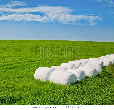 Riga di plastica avvolto balle di fieno su un campo verde