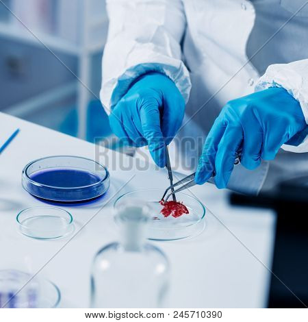 Quality Control Expert Inspecting At Meat Products  In The Laboratory