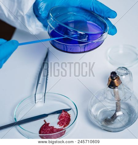Quality Control Expert Inspecting At Meat Products  In The Laboratory