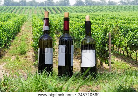 Three Uncapped Bottles Of Different Wine  With Corks In Grass On A Background Of The Vineyard