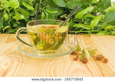 Linden Flower Tea In The Transparent Glass Cup With Spoon And Dried Linden Flowers Beside On A Light