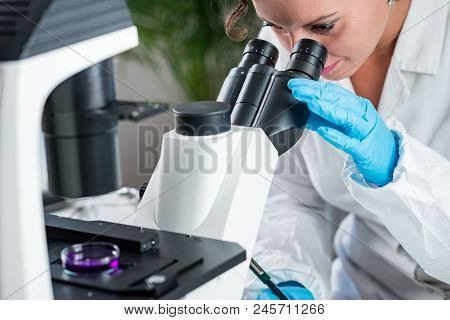 Quality Control Expert Inspecting At Meat Products  In The Laboratory
