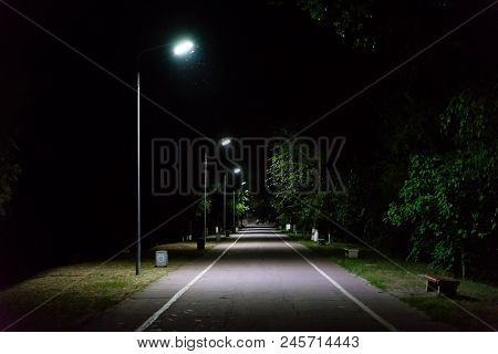 Path Through City Park At Night With Street Lamps.