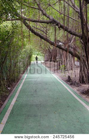 green buke lane in the nature park