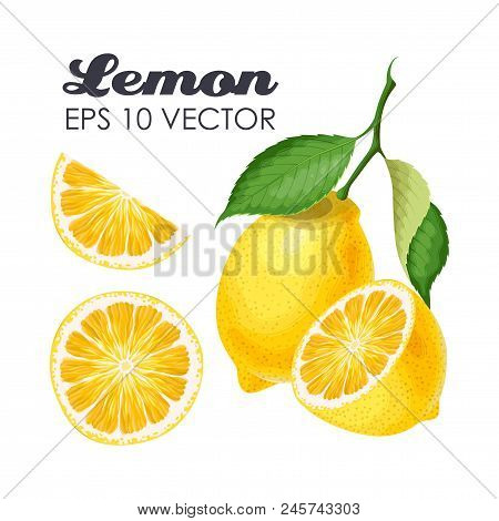 Vector Collection Of Lemons, Slices, Leaves And Whole