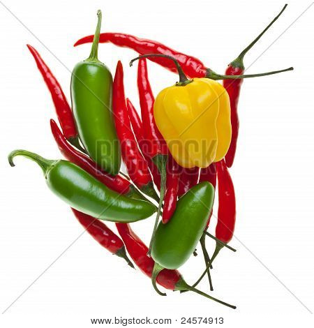 Chili