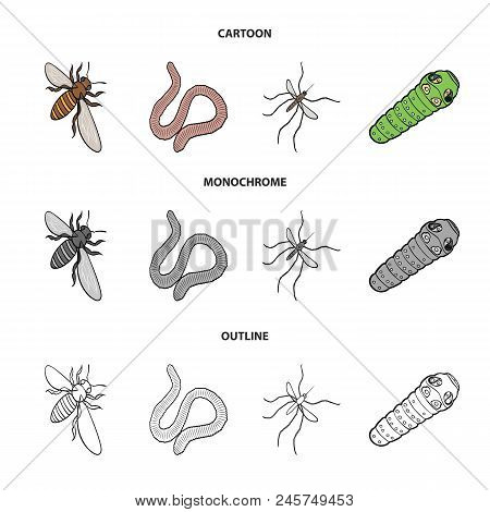 Arthropods Insect Mosquito, Bee.earth Worm, Caterpillar, Vermicular Set Collection Icons In Cartoon,