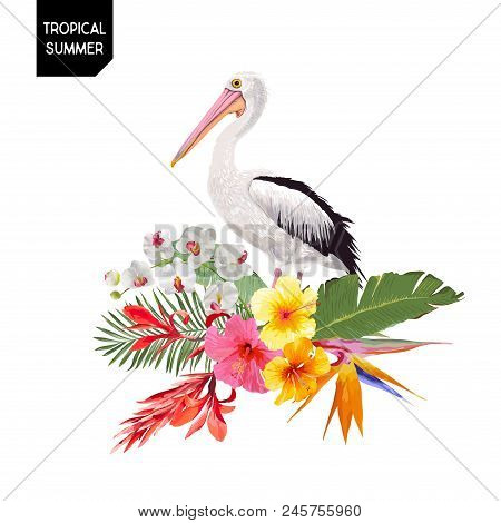 Tropical Summer Design With Pelican Bird And Exotic Flowers. Waterbird With Tropic Plants And Palm L