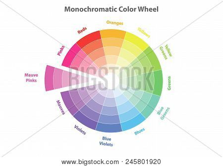 Monochromatic Color Wheel, Color Scheme Theory, Mauve Pinks Color In Evidence, Vector Isolated Or Wh