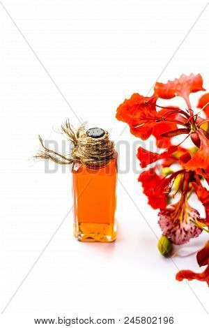 Flame Tree Or Gulmohor Or Goolmohor Tree Flower's Essence In A Transparent Bottle Isolated On White.