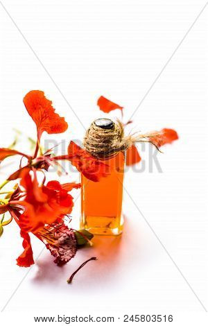 Flame Tree Or Gulmohor Or Goolmohor Tree Flower's Essence In A Transparent Bottle Isolated On White.